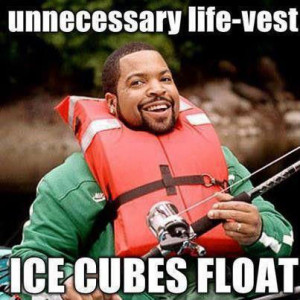 Unnecessary life vest – Ice Cubes float