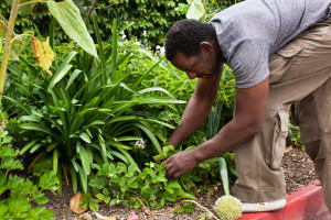 Ron Finley: The “Gangsta Gardner”…..he plants food and gardens ...