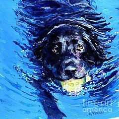 Black Labrador Retriever Paintings - Black Lab Blue Wake by Molly ...