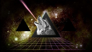 Apex Predator Wallpaper Wwe