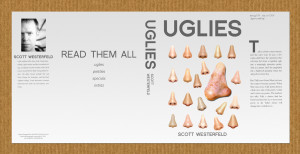 the cover while i am relatively satisfied with the result this concept ...