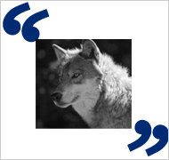 Quotes Uncovered: If Wolves and Sheep Could Vote