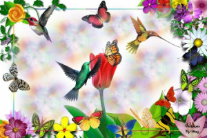 Spring Flowers And Butterflies Wallpaper (38)