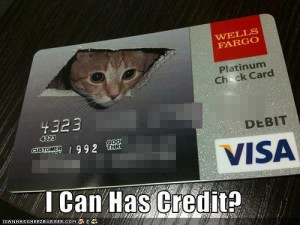 ceiling credit card - lol cats