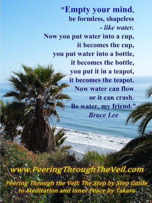 Meditation Quote Bruce Lee
