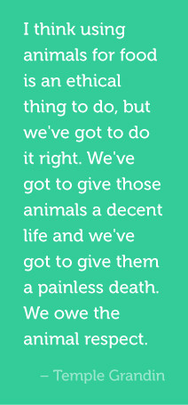 ... give them a painless death. We owe the animal respect. Temple Grandin
