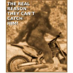 sasquatch_bigfoot_big_foot_dirt_bike_funny_tshirt.jpg?height=250&width ...