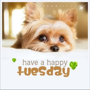 Happy Tuesday Have a happy tuesday