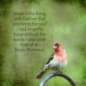 Hope Is The Thing With Feathers That Perches In The Soul ~ Birds Quote