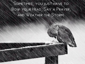 ... you just have to bow your head, say a prayer, and weather the storm
