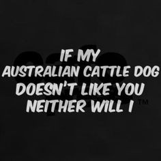 GENO♥ 67 IF MY AUSTRALIAN CATTLE DOG DOESN'T LIKE YOU NEITHER WILL I ...
