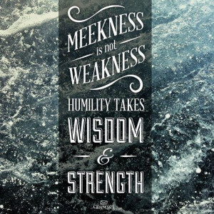 Meekness is not weakness