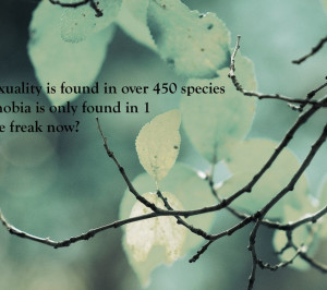 Nature Minimalistic Text Funny Quotes Famous Quote