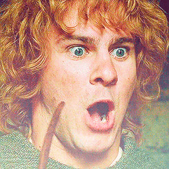 ... Took Billy Boyd Dominic Monaghan Pippin meriadoc brandybuck newgifs