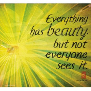 Everything has beauty but not everyone sees it environment quote