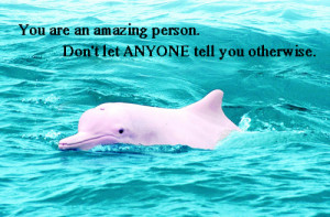 limitationsrnothing reblogged this from aammyyss