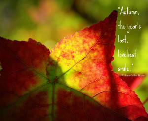 ... Fall Quotes Tumblr , Autumn Quotes , Cute Autumn Quotes , Fall Quotes