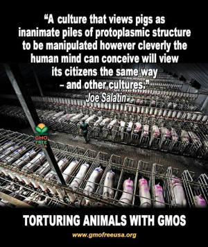 This is what you get from your stores! Animals that only know torture ...
