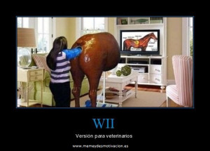 Wii Versi n veterinario P