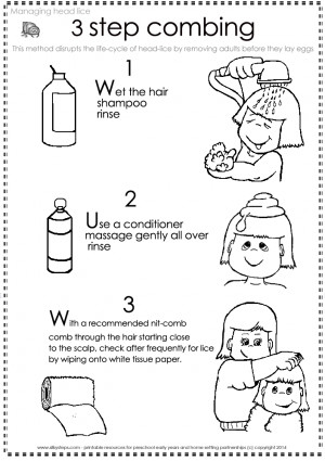 step poster and a head lice lifecycle image