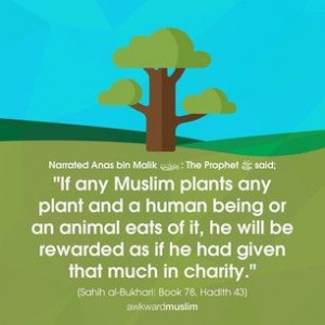 Charity in Islam