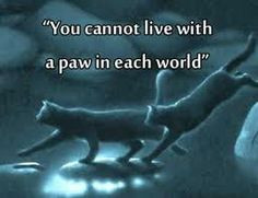 ... warriors quotes warriors erin hunter quotes famous quotes positive