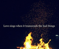 Via ☼steph esser☼