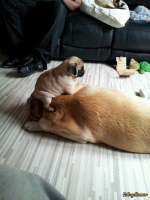 Share Tumblr Facebook Twitter Reddit Stumble Upon Email