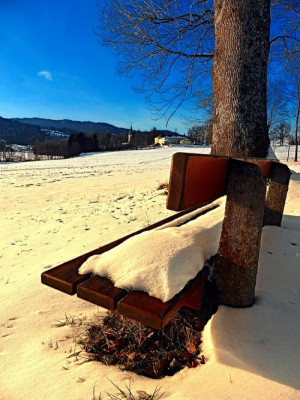 winter bench