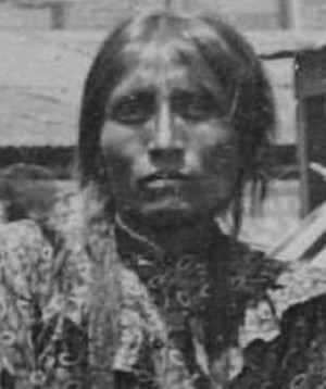 geronimo woman was killed geronimos members of those killed created