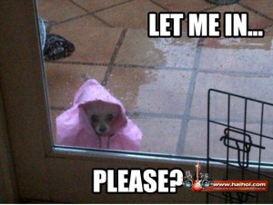 Funny Rainy Day | home Videos Galleries Pictures SMS Jokes Jokes