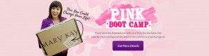 Online Training Center PINK Boot Camp New Consultants Directors Only ...