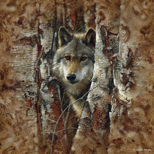 Fabulous Wolf Paintings of Collin Bogle (Photos- Video)