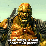Fallout 3 Fawkes Quotes