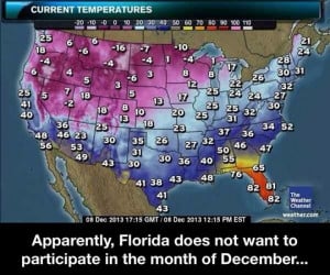 Florida hasn’t realized it’s already winter…