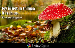 Joy is not in things; it is in us. - Richard Wagner