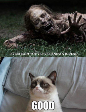 all-your-friends-are-dead-grumpy-cat-meme
