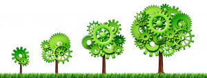 Innovation, Diffusion and Green Growth
