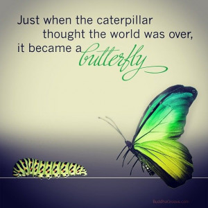 Just When The Caterpillar Thought The World Was Over It Became A ...
