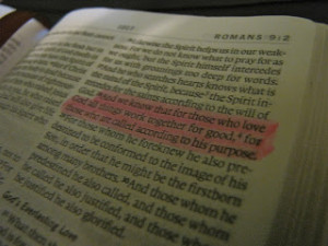 bible quotes about family betrayal