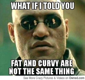 Fat VS Curvy | Pictures | Ownedcom