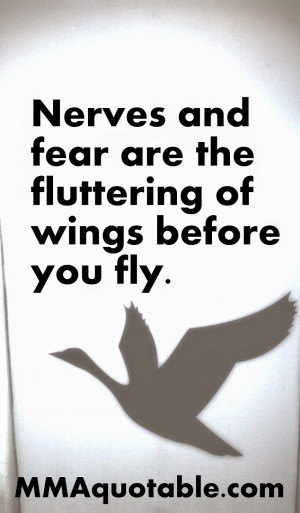 Nerves and fear are the fluttering of wings before you fly.