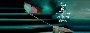 My India FB Covers It Is Hard To Fly When Something Motivational
