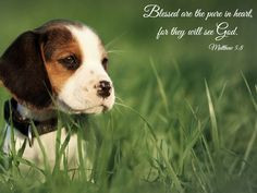 ... verses quotes art bible quotes vers 12 verses animal bible verses