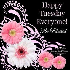 ... hello sayings quotes happy tuesday month quotes tuesday quotes daily
