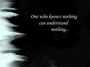 Ansem Seeker of Darkness