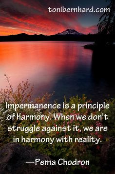Pema Chodron: Be in harmony with reality by not struggling with ...
