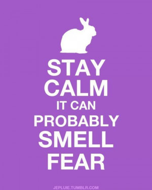 Disney.....Keep Calm / Tangled! Stay calm it can probably smell fear!