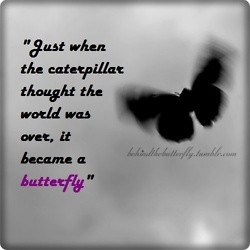 Butterfly hope
