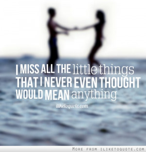 miss all the little things that I never even thought would mean ...